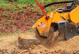 Lawn Watering Services in Waterloo, IN